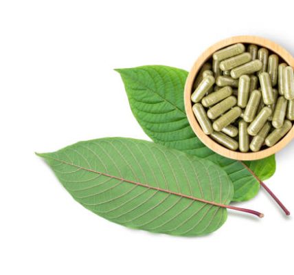 How to Spot the Best Maeng Da Kratom Vendors for Reliable Purchases